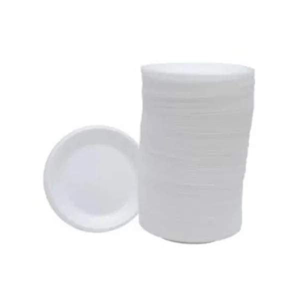 Disposable Plates Large   100Pcs