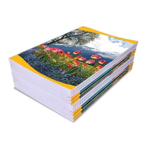 Rulled Register 200 Page Single Line Legal Size